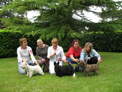 des feux follets de la pataudière - Réunion des terriers d'Ecosse le 1er juin